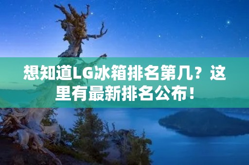 想知道LG冰箱排名第几？这里有最新排名公布！