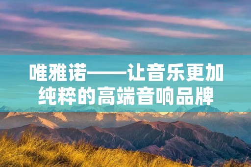 唯雅诺——让音乐更加纯粹的高端音响品牌