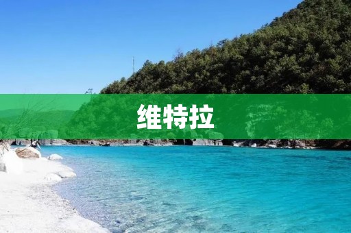 维特拉:时尚跑车的代表 维特拉:时尚跑车的代表