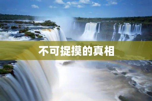 不可捉摸的真相