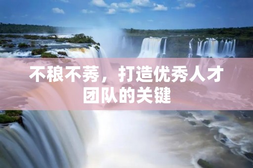 不稂不莠,打造优秀人才团队的关键 不稂不莠,打造优秀人才团队的关键