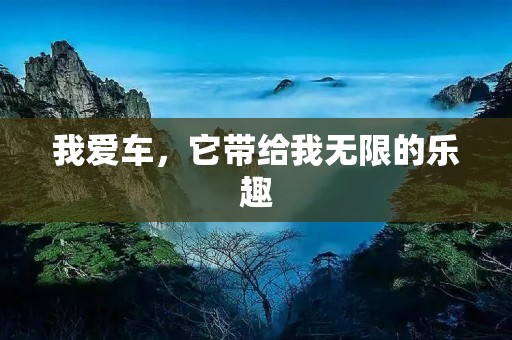 我爱车，它带给我无限的乐趣