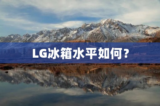 LG冰箱水平如何？