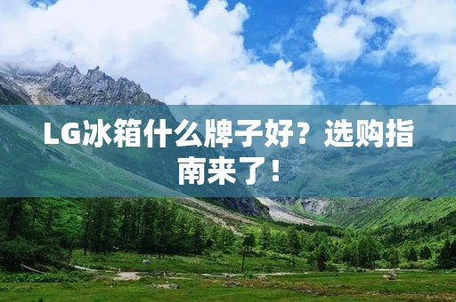 LG冰箱什么牌子好？选购指南来了！