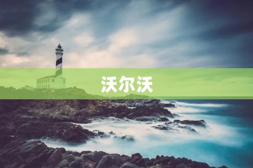 沃尔沃：安全与环保的代名词