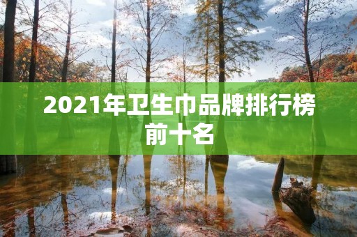 2021年卫生巾品牌排行榜前十名