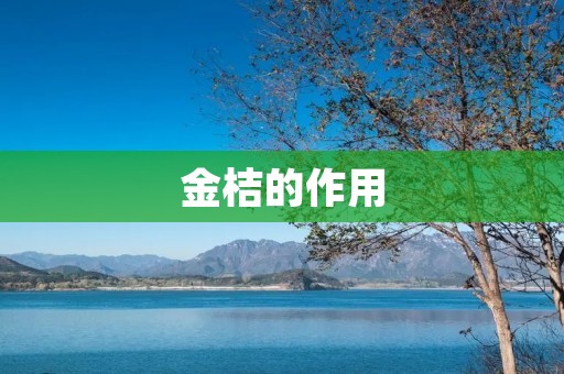 金桔的作用