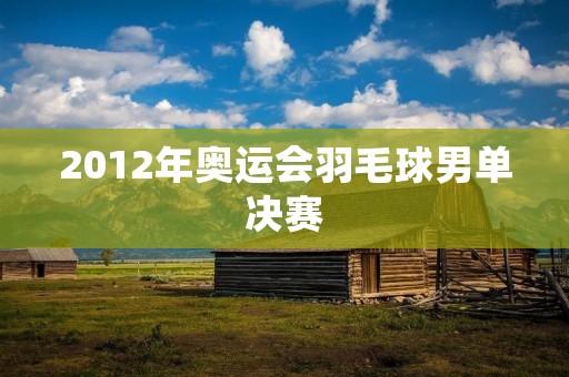 2012年奥运会羽毛球男单决赛：林丹VS李宗伟