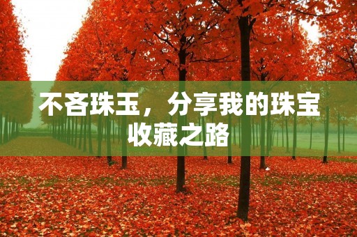 不吝珠玉，分享我的珠宝收藏之路