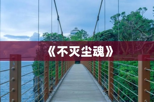《不灭尘魂》：一款热门网络游戏的背后故事