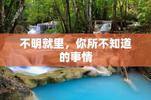 不明就里,你所不知道的事情 不明就里,你所不知道的事情