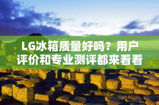 LG冰箱质量好吗？用户评价和专业测评都来看看