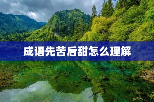 成语先苦后甜怎么理解