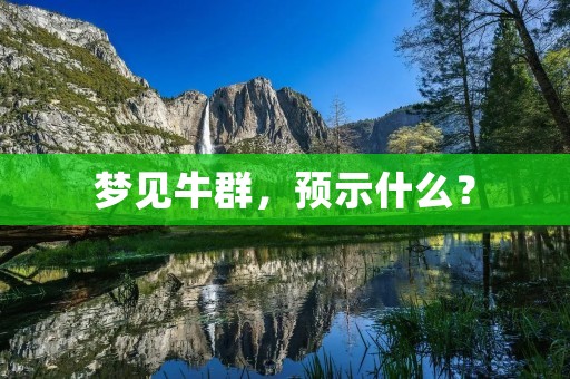 梦见牛群，预示什么？