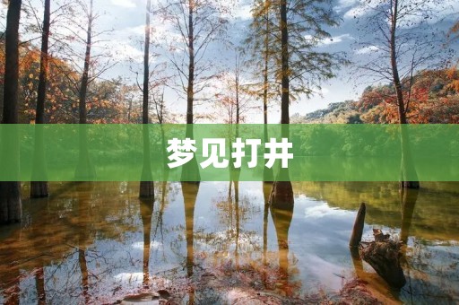 梦见打井：预示什么？