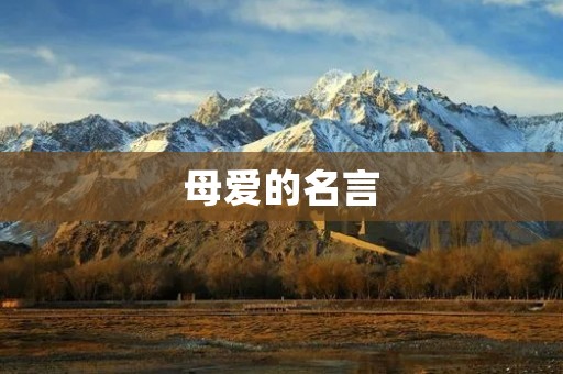 母爱的名言