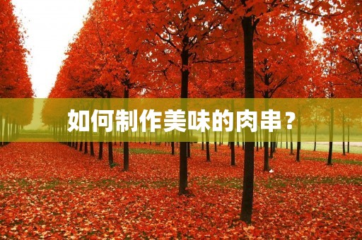 如何制作美味的肉串？