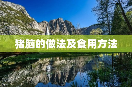 猪脑的做法及食用方法