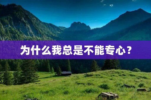 为什么我总是不能专心? 为什么我总是不能专心?