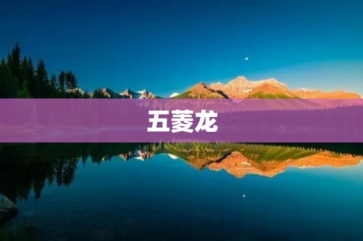 五菱龙:中国新能源汽车的代表 五菱龙:中国新能源汽车的代表