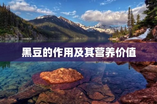 黑豆的作用及其营养价值