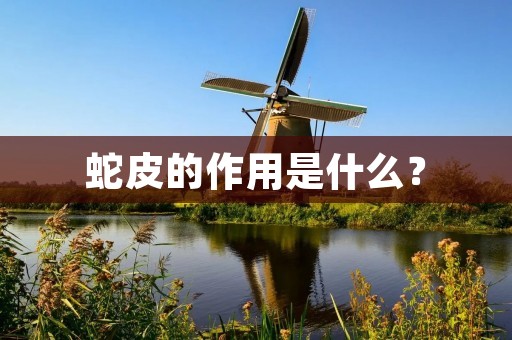 蛇皮的作用是什么? 蛇皮的作用是什么?