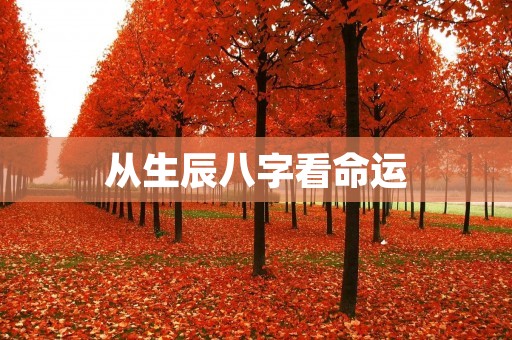 从生辰八字看命运