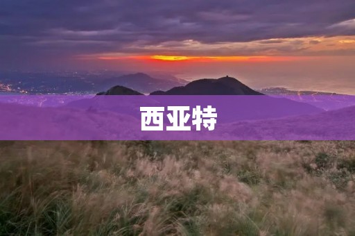 西亚特：西班牙汽车品牌的崛起