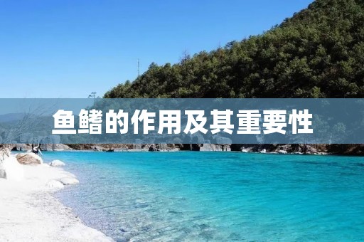 鱼鳍的作用及其重要性 鱼鳍的作用及其重要性