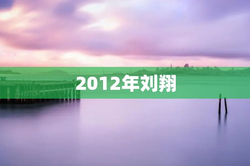 2012年刘翔：再次告别奥运会
