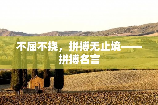 不屈不挠，拼搏无止境——拼搏名言