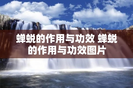 蝉蜕的作用与功效 蝉蜕的作用与功效图片 蝉蜕的作用与功效 蝉蜕的作用与功效图片