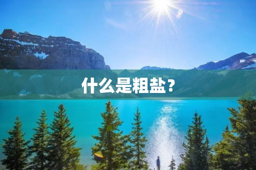 什么是粗盐?