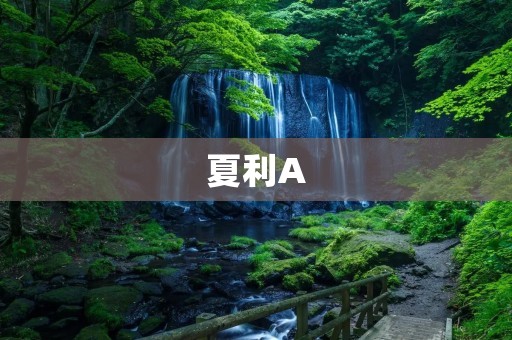 夏利A:一款曾经的经典车型 夏利A:一款曾经的经典车型