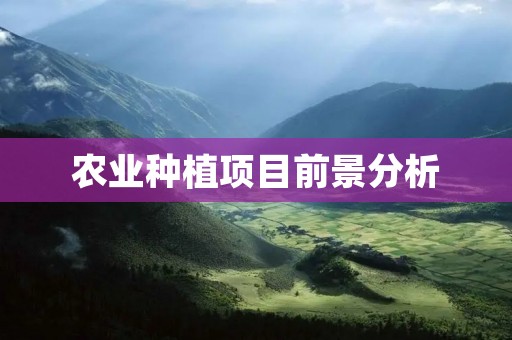 农业种植项目前景分析:哪些项目有挣钱前途