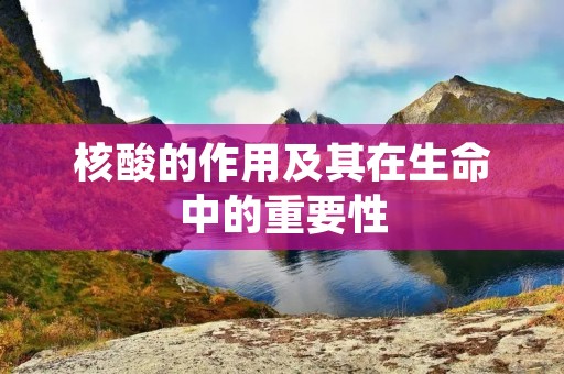 核酸的作用及其在生命中的重要性 核酸的作用及其在生命中的重要性