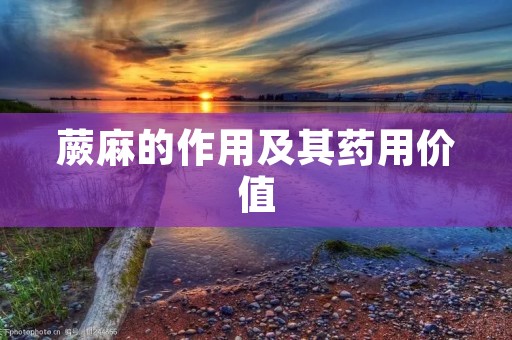 蕨麻的作用及其药用价值 蕨麻的作用及其药用价值