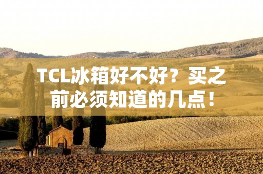 TCL冰箱好不好？买之前必须知道的几点！