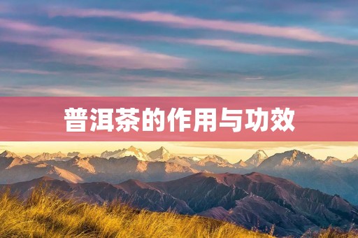 普洱茶的作用与功效 普洱茶的作用与功效