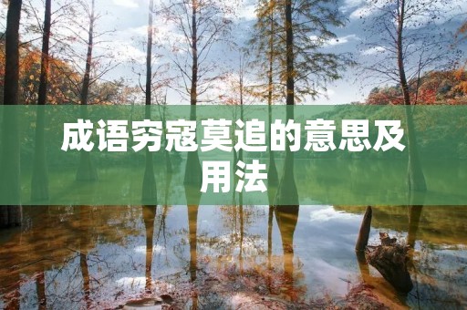 成语穷寇莫追的意思及用法
