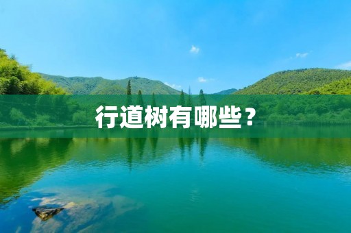 行道树有哪些? 行道树有哪些?