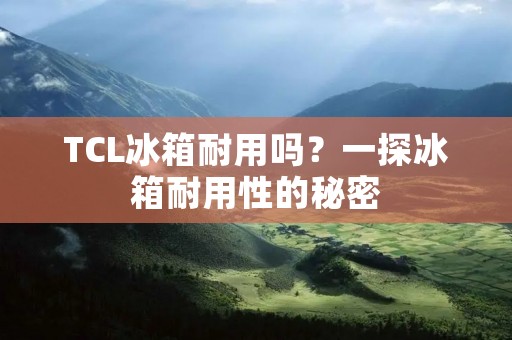 TCL冰箱耐用吗？一探冰箱耐用性的秘密