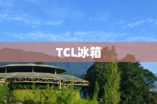 TCL冰箱：性价比之王，好用到爆！