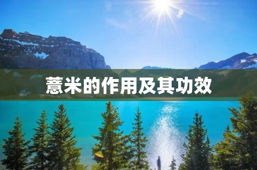 薏米的作用及其功效 薏米的作用及其功效