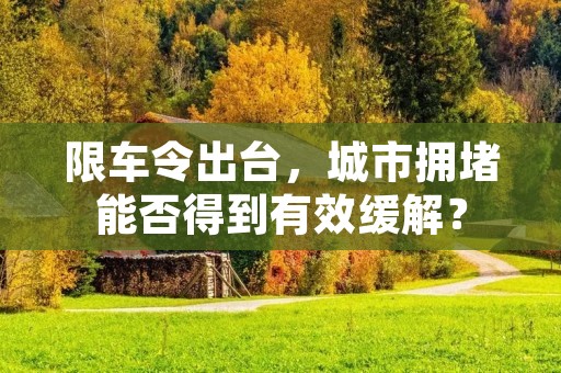 限车令出台,城市拥堵能否得到有效缓解? 限车令出台,城市拥堵能否得到有效缓解?