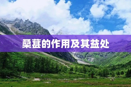 桑葚的作用及其益处 桑葚的作用及其益处