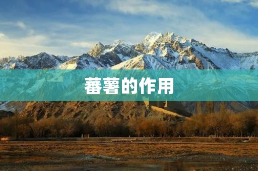 蕃薯的作用:探究这个富含营养的神奇食材 蕃薯的作用:探究这个富含营养的神奇食材