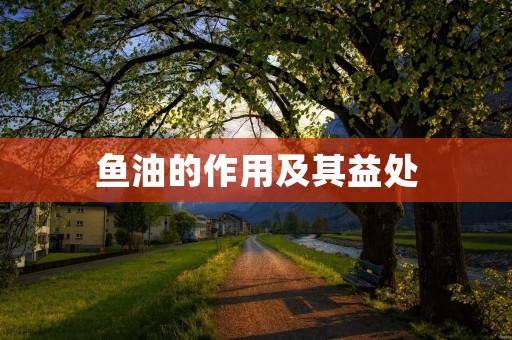 鱼油的作用及其益处 鱼油的作用及其益处