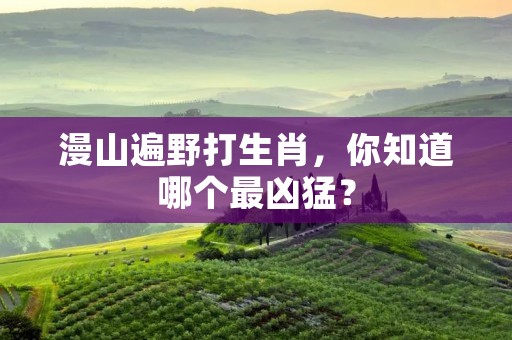 漫山遍野打生肖，你知道哪个最凶猛？