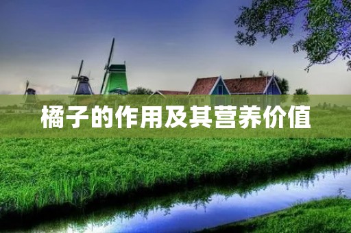 橘子的作用及其营养价值 橘子的作用及其营养价值